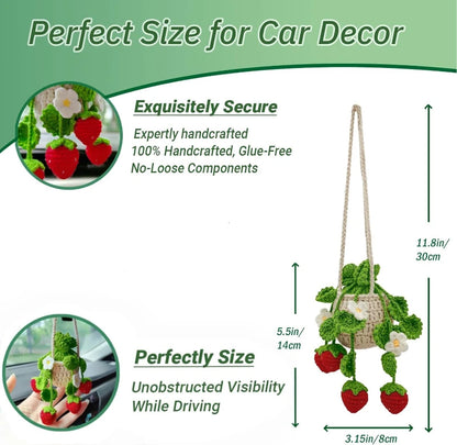 Car Plant Crochet Hanging Basket