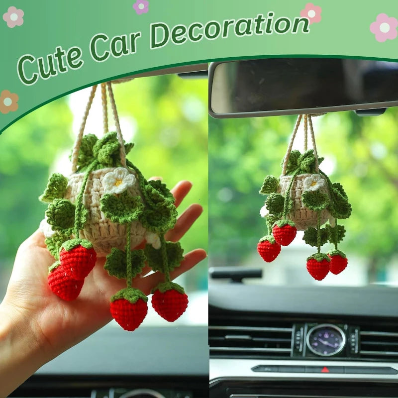 Car Plant Crochet Hanging Basket