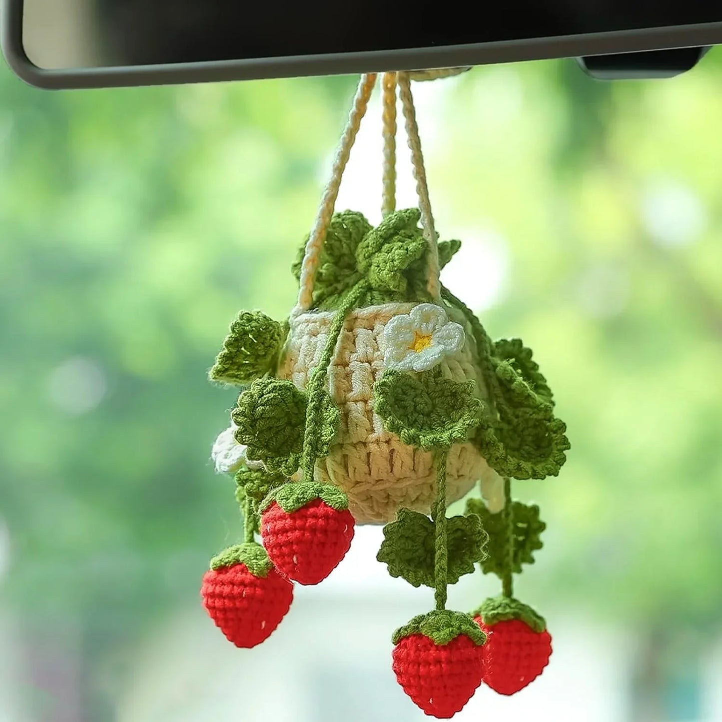 Car Plant Crochet Hanging Basket