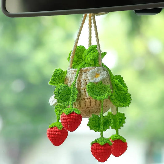 Car Plant Crochet Hanging Basket