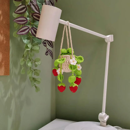 Car Plant Crochet Hanging Basket