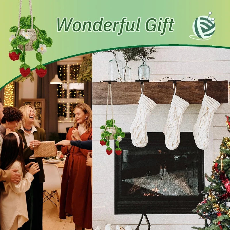 Car Plant Crochet Hanging Basket