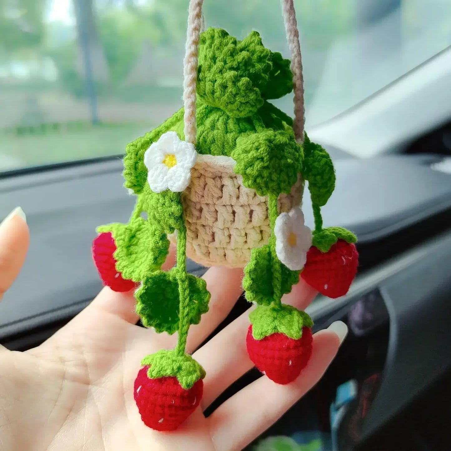 Car Plant Crochet Hanging Basket